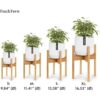 Fox Fern Soporte moderno de medio siglo para maceta