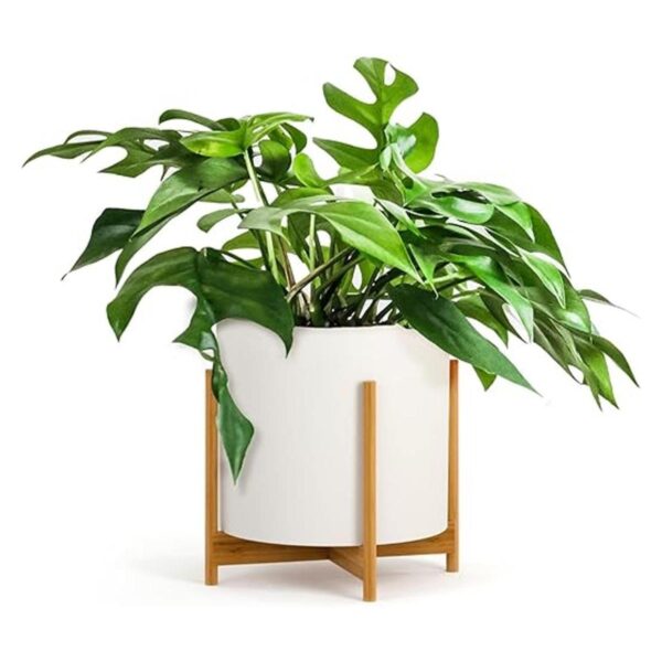 Fox Fern Soporte moderno de medio siglo para maceta