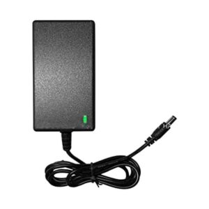 Cargador de batería 12 V para niños paseo en coche_1