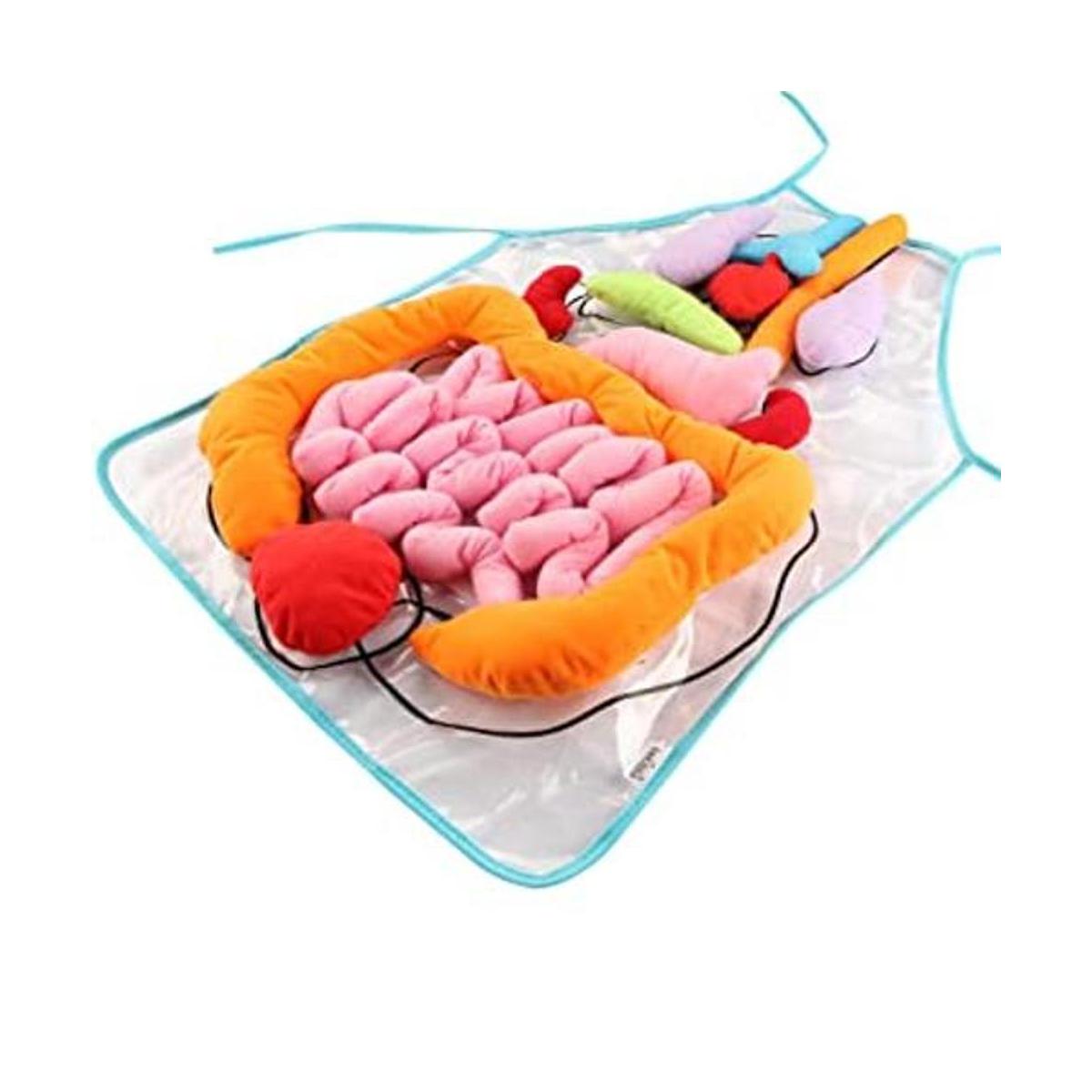 KAKIBLIN Delantal de órgano 3D delantal de anatomía