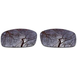 ToughAsNails Reemplazo de lente polarizada para gafas de_1