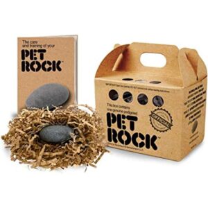 Pet Rock El original de Gary Dahl_1