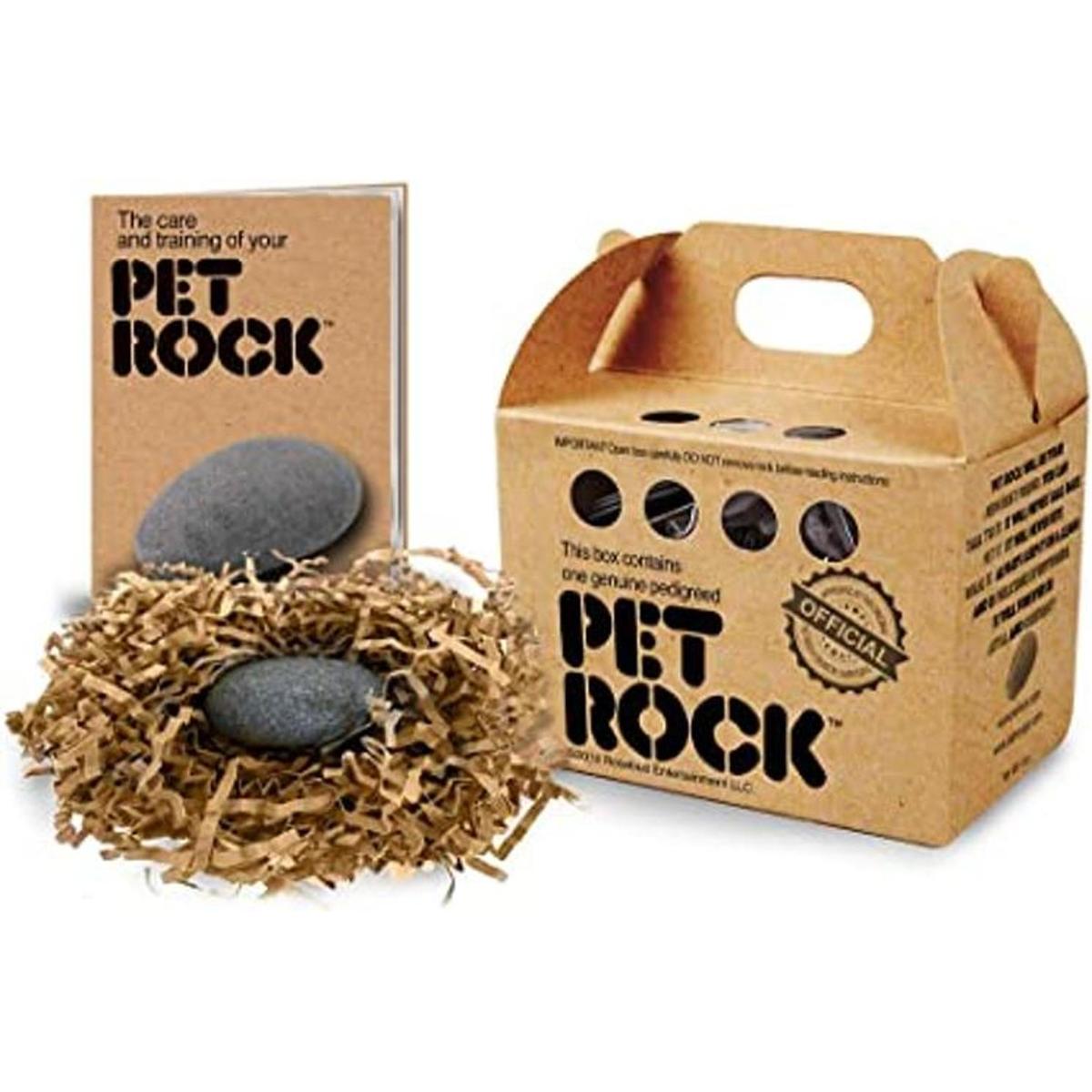 Pet Rock El original de Gary Dahl