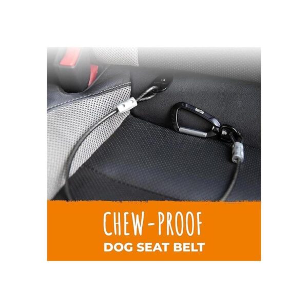 Mighty Paw Cinturón de seguridad para perros correa de