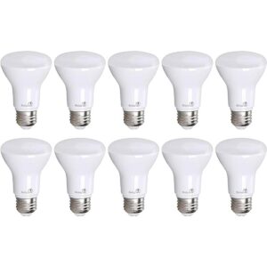 Bioluz Paquete de 10 bombillas LED 90 CRI R20 BR20 de_1