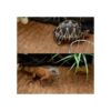 Hamiledyi Alfombrilla de fibra de coco para reptiles