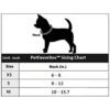PETFAVORITES Everflowering Collar de perro con flor de_2
