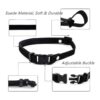 PETFAVORITES Everflowering Collar de perro con flor de_5