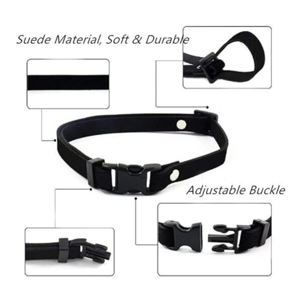 PETFAVORITES Everflowering Collar de perro con flor de_5