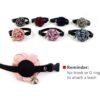 PETFAVORITES Everflowering Collar de perro con flor de_4