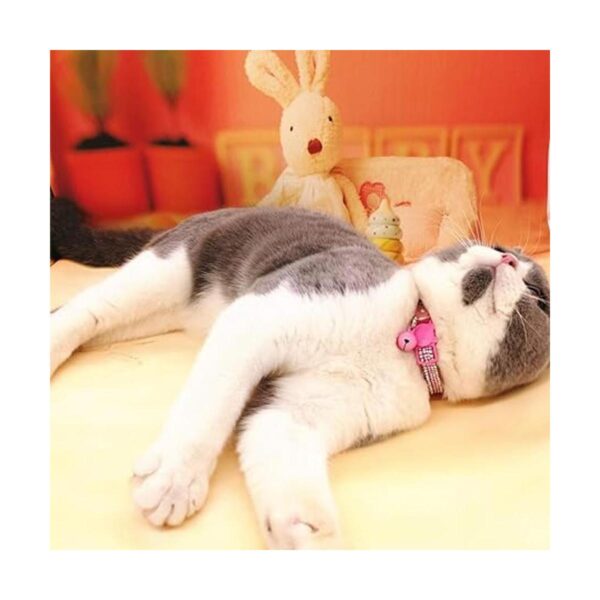 THAIN Collar de gato ajustable básico con diamantes