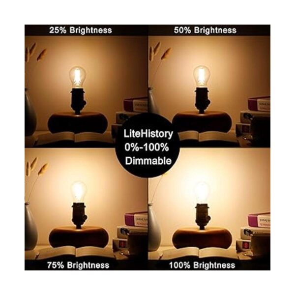 LiteHistory Bombilla LED A15 regulable de 4 W igual a 40 W