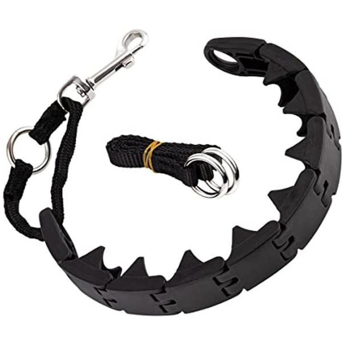 RamPro Collar de entrenamiento para perros collar grande