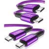 Basesailor Cable USB tipo C a C de 100 W de 10 pies2
