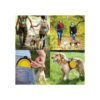 Tazón plegable para perros de viaje para perros 12 onzas