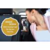 Meadowlark Premium Hammock Dog Car Seat Cover for Back