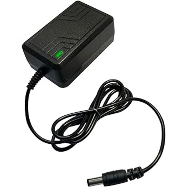 Cargador de 6 V para niños cargador de batería de 6_2