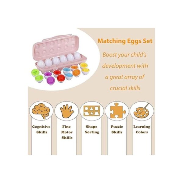 Hhyn Huevos a juego con forma de color para niños_3