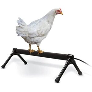KH Pet Products Percha térmica de pollo_1