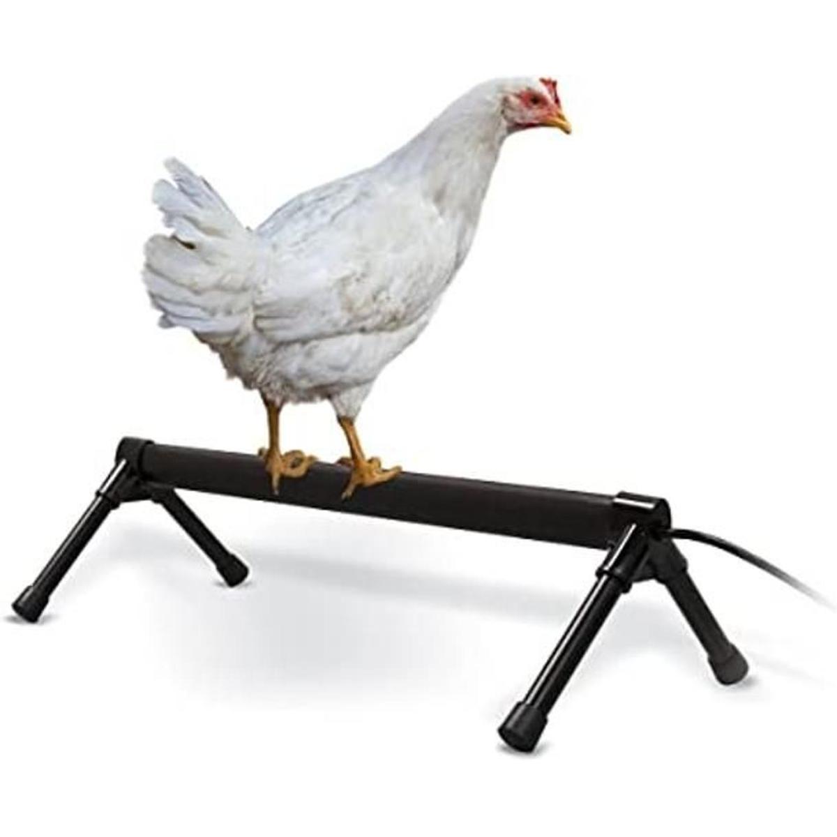 KH Pet Products Percha térmica de pollo