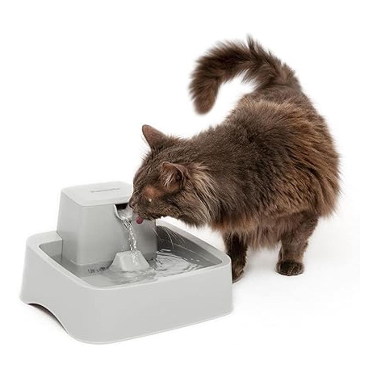 PetSafe Drinkwell Fuente de agua para perros y gatos