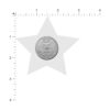 Pastease Pezple Cover Pasties Estrella estrella con_3