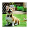 JpGdn 2pcs 3.8x2 Negro Rojo Pequeño Collar de Perros Arcos