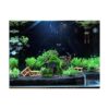 M2cbridge Decoraciones para acuarios Cueva Betta con