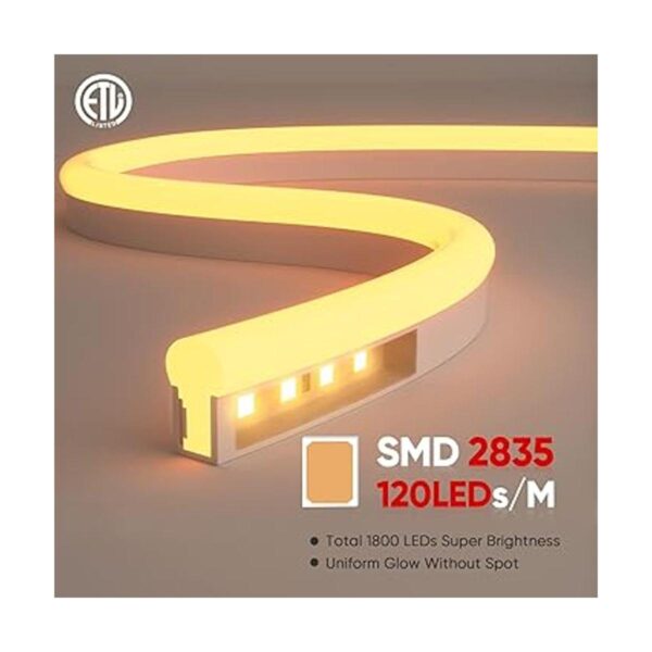 Shine 2835 Cuerda de luces LED neón decorativas 110 V_2