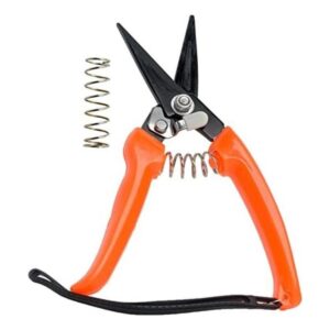 Tijeras cortaúñas para pezuñas de cabra para ovejas