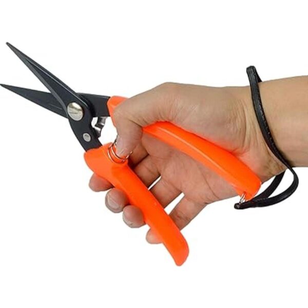 Tijeras cortaúñas para pezuñas de cabra para ovejas