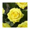FiveSeasonStuff Rosas falsas flores de boda flores_2