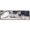 DIY 5D Diamond Painting by Number Kits Crystal Rhinestone