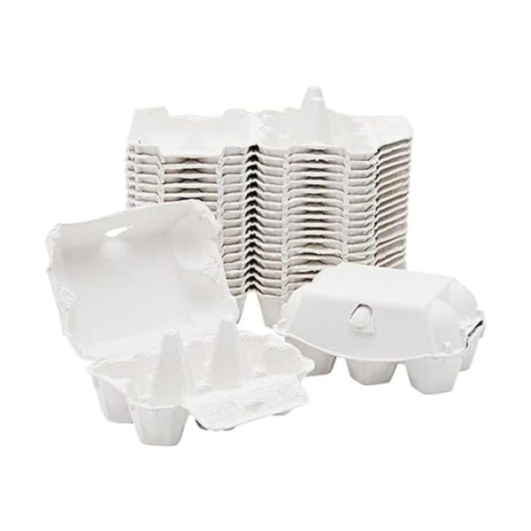 Paquete de 20 cajas vacías para huevos de 6 unidades para