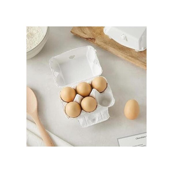 Paquete de 20 cajas vacías para huevos de 6 unidades para