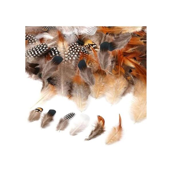 Mwoot Plumas de pollo naturales para manualidades 180