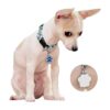 HAN SHENG 40 dijes de pata de perro y gato animal_5