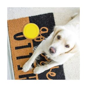 Forest Guys Cuencos para perros y gatos