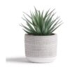 Kurrajong Farmhouse Planta artificial de 8 x 4.5 pulgadas_1