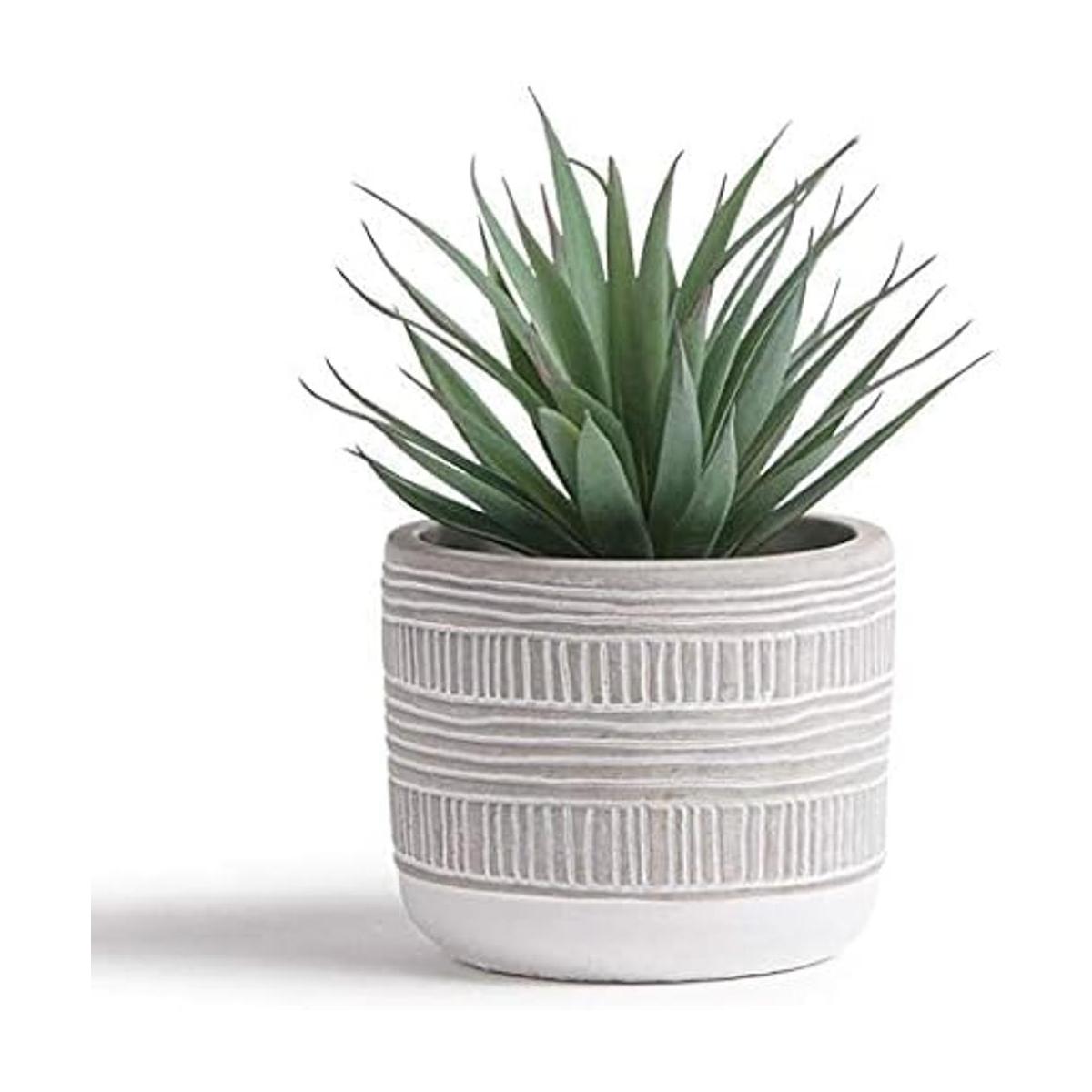 Kurrajong Farmhouse Planta artificial de 8 x 4.5 pulgadas