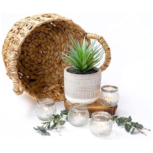 Kurrajong Farmhouse Planta artificial de 8 x 4.5 pulgadas_2