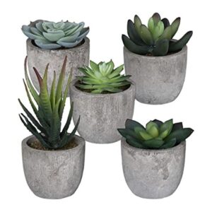 Juego de 5 plantas falsas suculentas para dormitorio_1