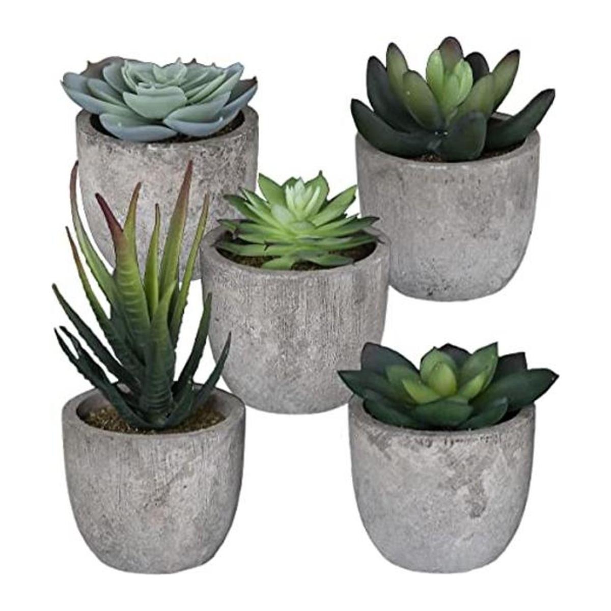 Juego de 5 plantas falsas suculentas para dormitorio