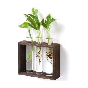 Mkono Maceta de cristal para colgar en la pared o mesas