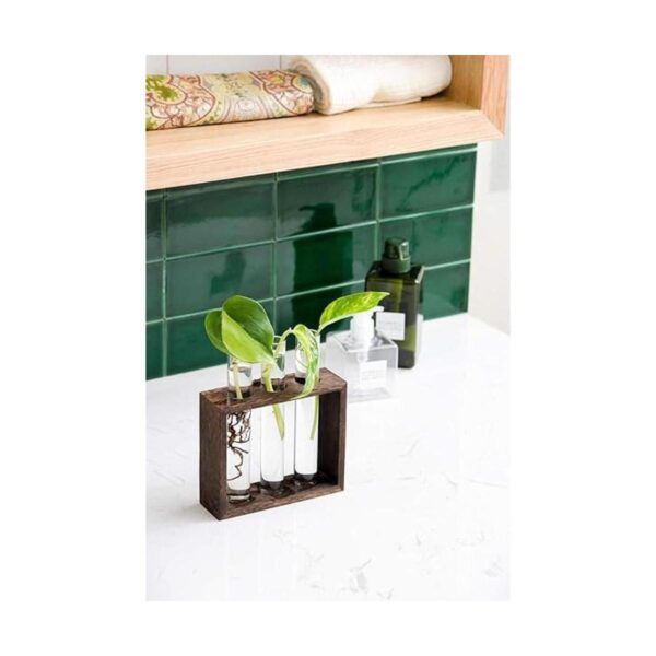 Mkono Maceta de cristal para colgar en la pared o mesas