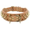 Berry Pet Collar de perro de cuero con puntas de 2