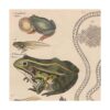 Meishe Art Póster con diseño de ranas de filomedusina y_2