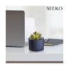 SEEKO Paquete de 3 suculentas artificiales para_6