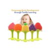 Baby Teething Toys Soft Silicone Fruit Teether Set with_5