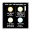 Simba Lighting Bombillas halógenas MR16 de 20 W y 12 V
